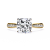 14k Gold / Yellow / 13